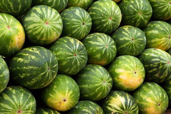 watermelons, fruits, cool backgrounds