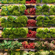 Assorted vegetable lot