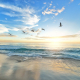beach-birds-sea-stockpack-pixabay.jpg beach, birds, sea
