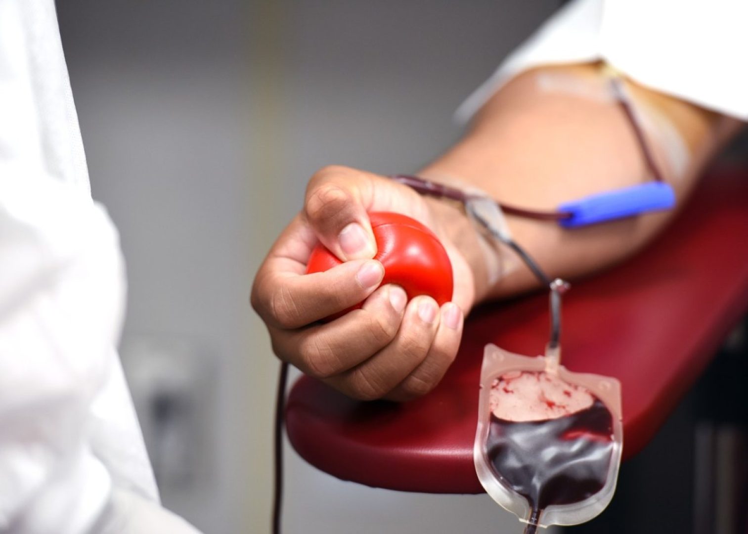 blood, blood donation, medical