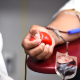 blood, blood donation, medical