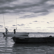 fishing-sea-boats-stockpack-pixabay.jpg fishing, sea, boats