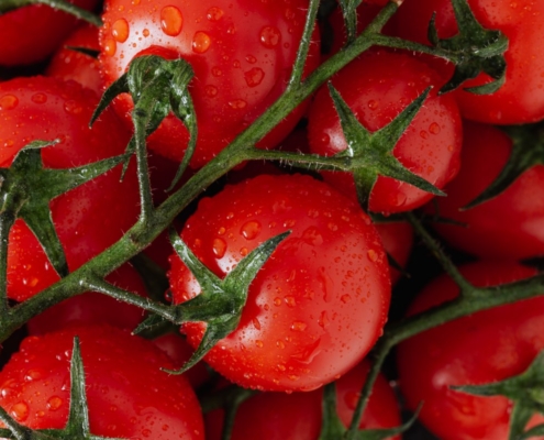 fresh-ripe-red-tomatoes-with-water-drops-stockpack-pexels.jpg Fresh ripe red tomatoes with water drops