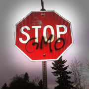 gmo-science-stop-stockpack-pixabay.jpg gmo, science, stop