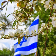 israeli-flag-flowers-spring-stockpack-pixabay.jpg israeli flag, flowers, spring