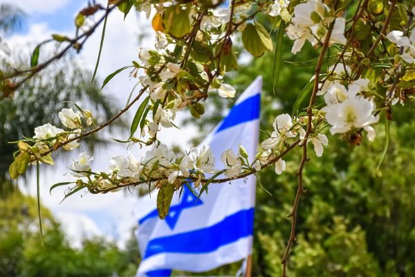 israeli flag, flowers, spring