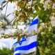 israeli-flag-flowers-spring-stockpack-pixabay.jpg israeli flag, flowers, spring