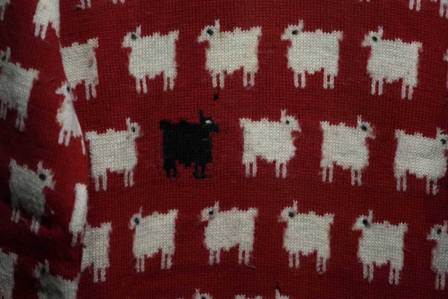 Sheeps Sweater Diana