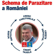PSD PNL Ciolacu Psd Pnl Ciolacu