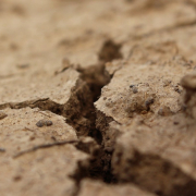 crack-land-drought-stockpack-pixabay.jpg crack, land, drought
