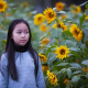 girl-fashion-sunflowers-stockpack-pixabay.jpg girl, fashion, flower background