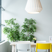 ikea-table-dining-stockpack-pixabay.jpg ikea, table, dining