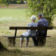 retiree-pensioners-elderly-stockpack-pixabay.jpg retiree, pensioners, elderly