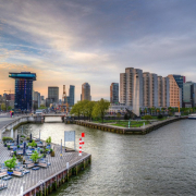 rotterdam, nature, netherlands