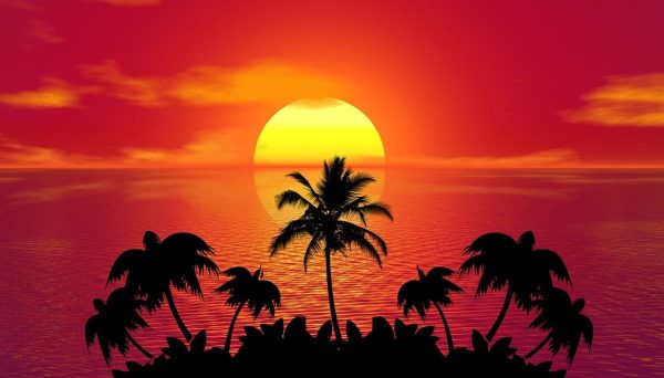 sunset, palm trees, silhouettes