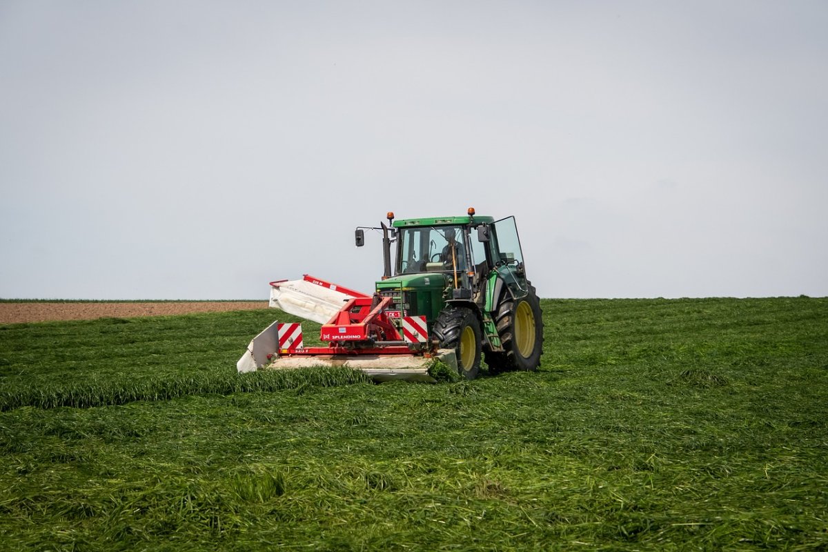 tractor, farm implement, field