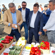 Florin Barbu Madr
