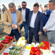 Florin Barbu MADR Florin Barbu Madr