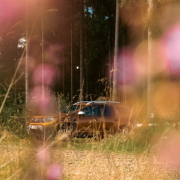 a-car-is-parked-in-the-middle-of-the-woods-stockpack-unsplash.jpg a car is parked in the middle of the woods