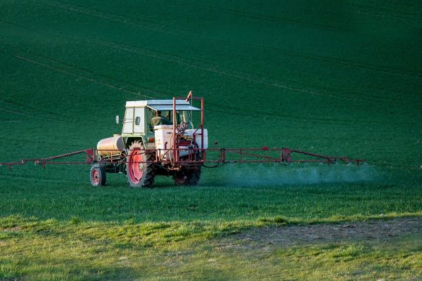 pesticide, glyphosate, plant protection