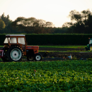 the-morning-harvest-stockpack-unsplash.jpg The morning harvest