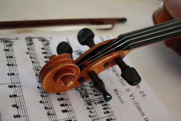 violin, string instrument, music