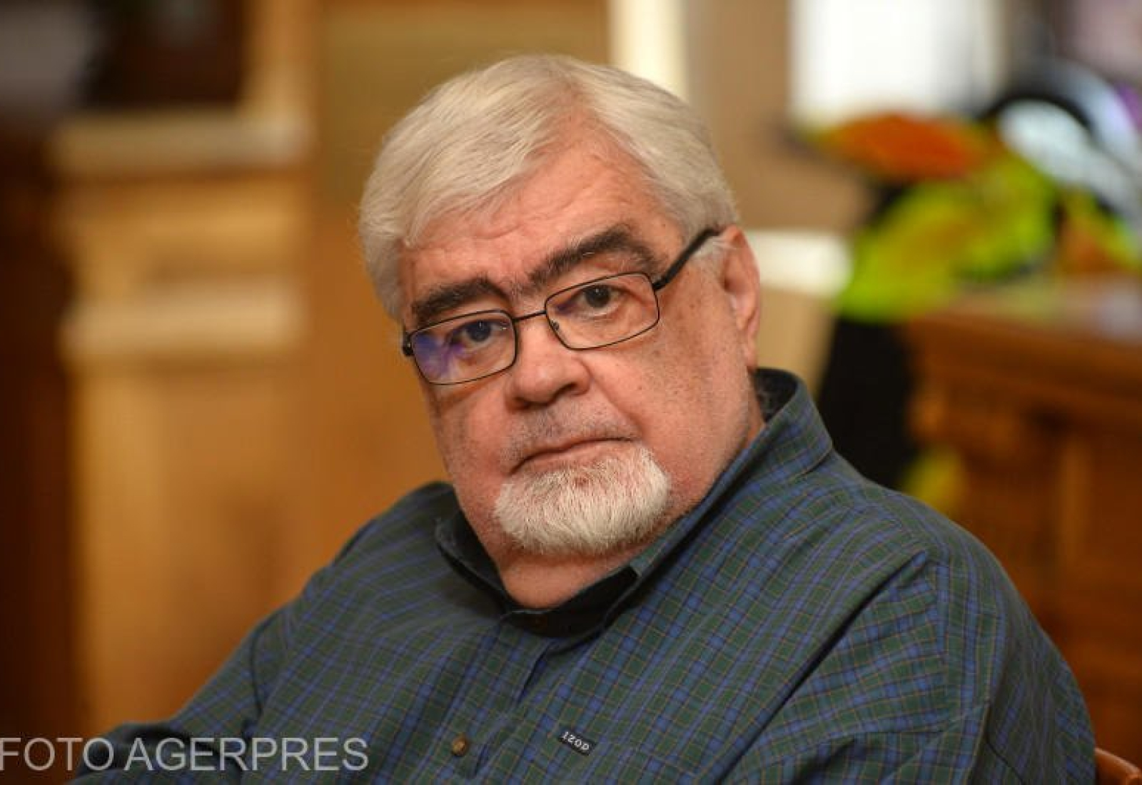 Andrei Plesu