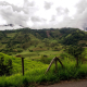 colombia-coffee-zone-mountains-stockpack-pixabay.jpg colombia, coffee zone, mountains