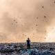 dump-pollution-man-stockpack-pixabay.jpg dump, pollution, man