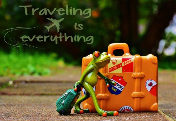 frog, to travel, vacations