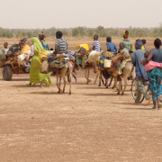 migration, flee, war