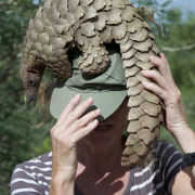pangolin-namibia-endangered-stockpack-pixabay.jpg pangolin, namibia, endangered
