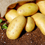 potatoes-stockpack-pexels.jpg Potatoes