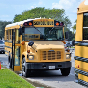 school-buses-houston-texas-teachers-stockpack-pixabay.jpg school buses, houston texas, teachers