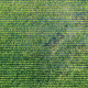 top-view-of-a-cropland-stockpack-pexels.jpg Top view of a cropland