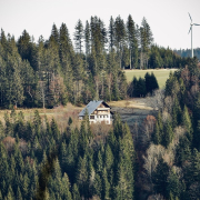 trees-field-house-stockpack-pixabay.jpg trees, field, house