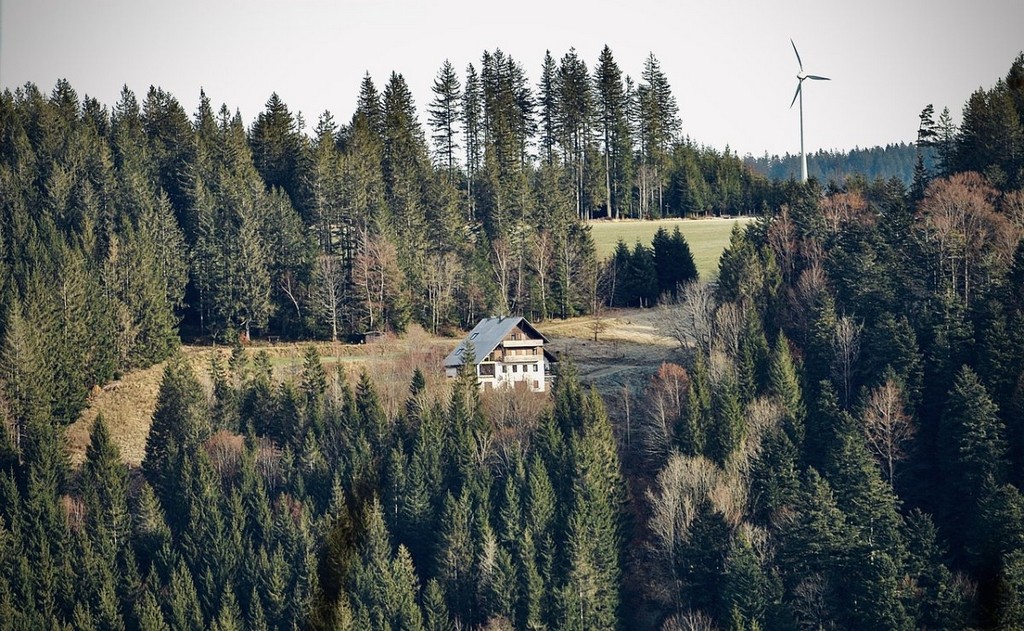 trees, field, house