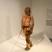 Oetzi Iceman