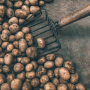 a-photo-from-food-market-in-poland-stockpack-unsplash.jpg A photo from food market in Poland