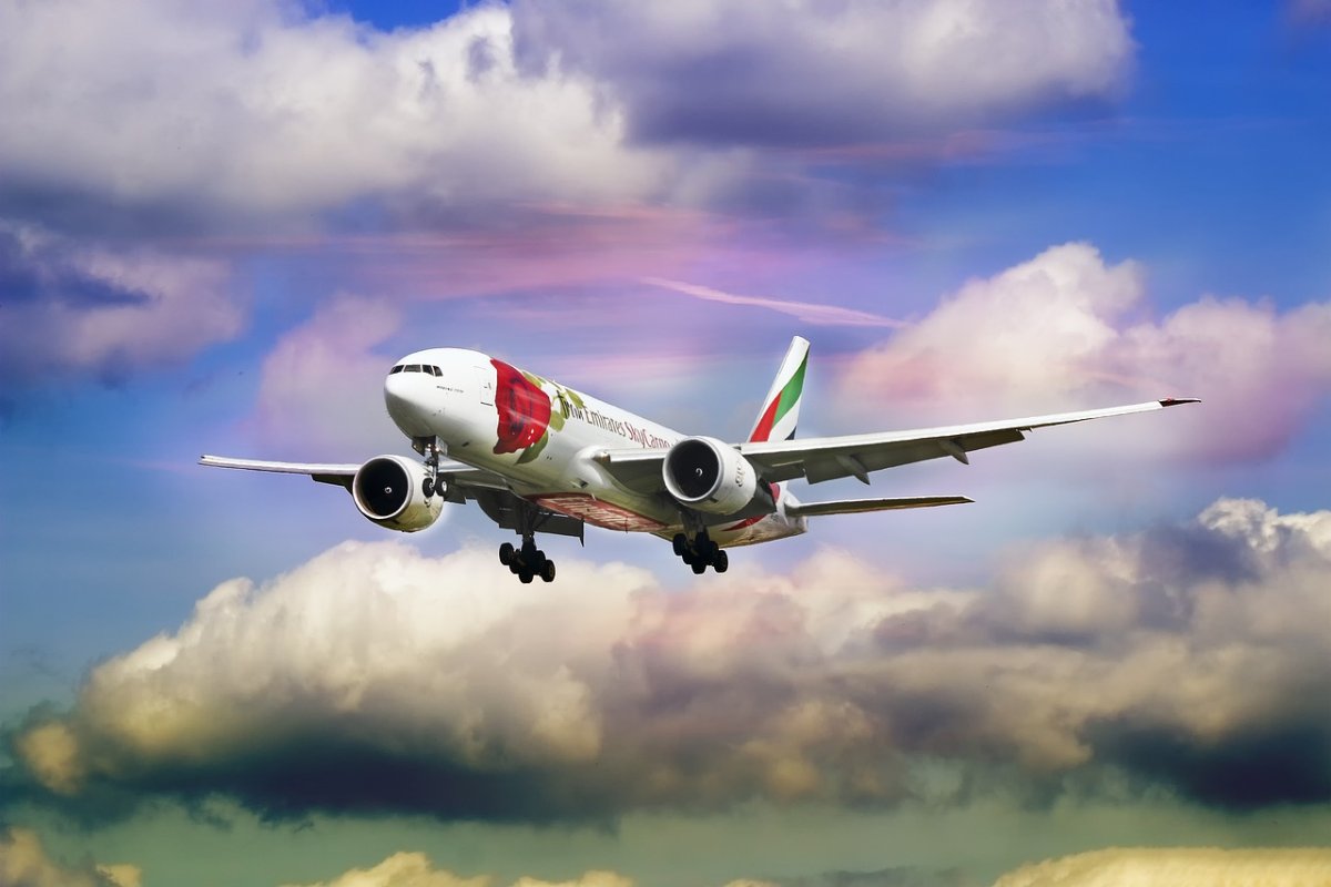 emirate-airline-rose-stockpack-pixabay.jpg emirate, airline, rose