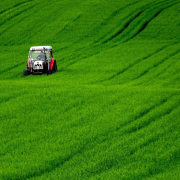 landscape-meadow-field-stockpack-pixabay.jpg landscape, meadow, field