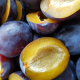 lots-of-plum-halves-stockpack-unsplash.jpg Lots of plum halves