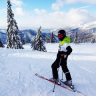 skier, winter, skis