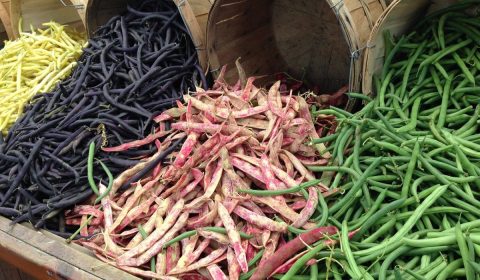 beans, leguminous plants, legumes