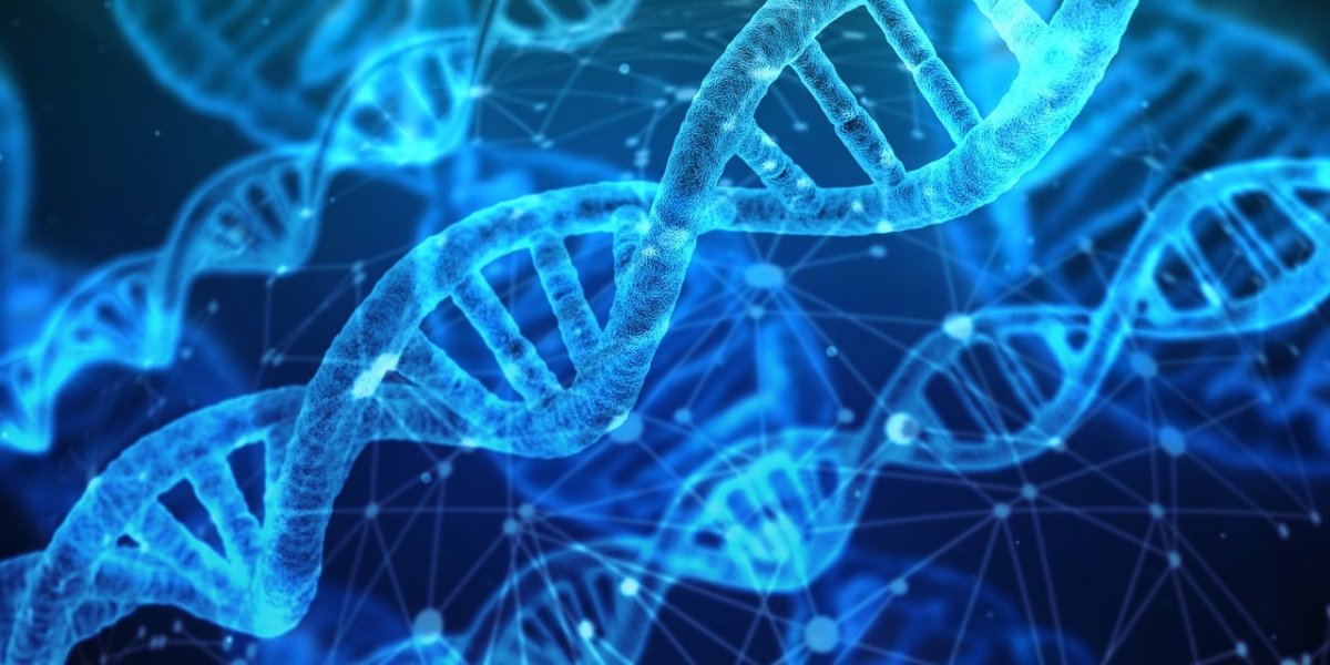 dna-analysis-research-stockpack-pixabay.jpg dna, analysis, research