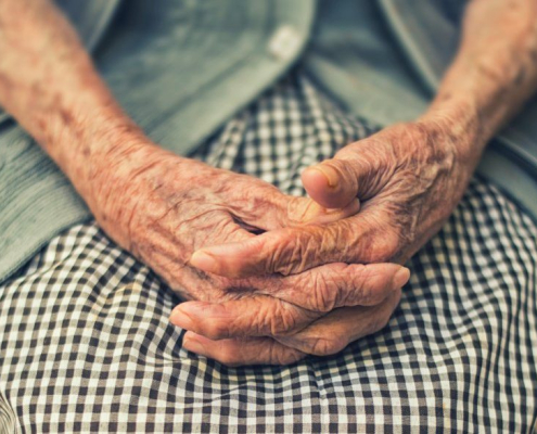 persons-hand-in-shallow-focus-stockpack-unsplash.jpg person's hand in shallow focus