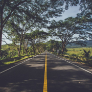 asphalt-street-trees-stockpack-pixabay.jpg asphalt, street, trees