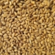 brown grains