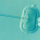 ivf-fertility-infertility-stockpack-pixabay.png ivf, fertility, infertility