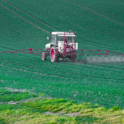 pesticide-glyphosate-plant-protection-stockpack-pixabay.jpg pesticide, glyphosate, plant protection